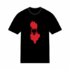 T-shirt Carte Albanais