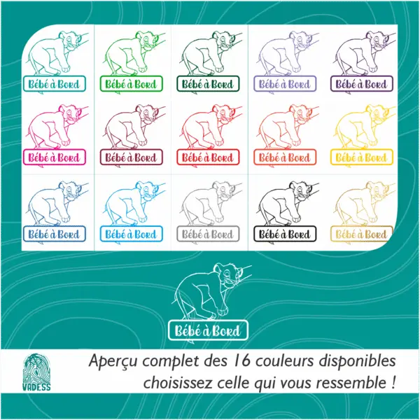 Bébé à bord Simba