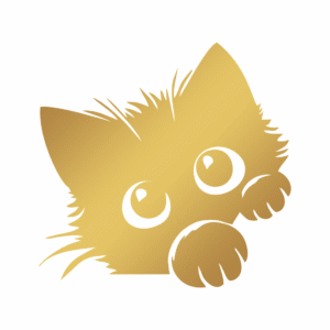 Chaton Mignon